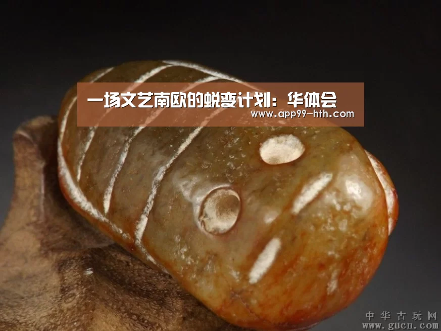 华体会app