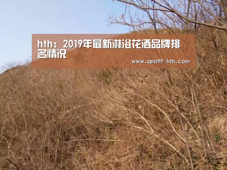 hth：2019年最新淋浴花洒品牌排名情况