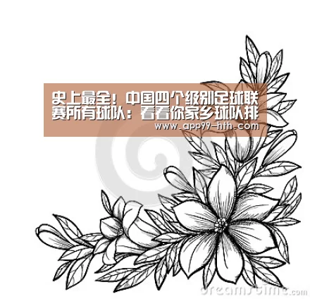 
史上最全！中国四个级别足球联赛所有球队：看看你家乡球队排第几‘华体会’(图2)